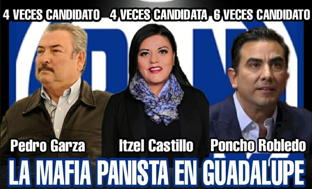 SI USTED ES PANISTA DE GUADALUPE  Y ANDA BUSCANDO SABER POR QUÉ NO GANAN LA ALCALDÍA HACE 20 AÑOS, EN ESA IMAGEN VERÁ LA CAUSA: ESE PARTIDO ESTÁ SECUESTRADO POR LOS MISMOS DE SIEMPRE CADA ELECCIÓN