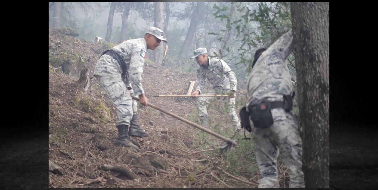 PROTECCIÓN CIVIL CONTRA INCENDIOS FORESTALES EN N.L