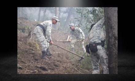 PROTECCIÓN CIVIL CONTRA INCENDIOS FORESTALES EN N.L