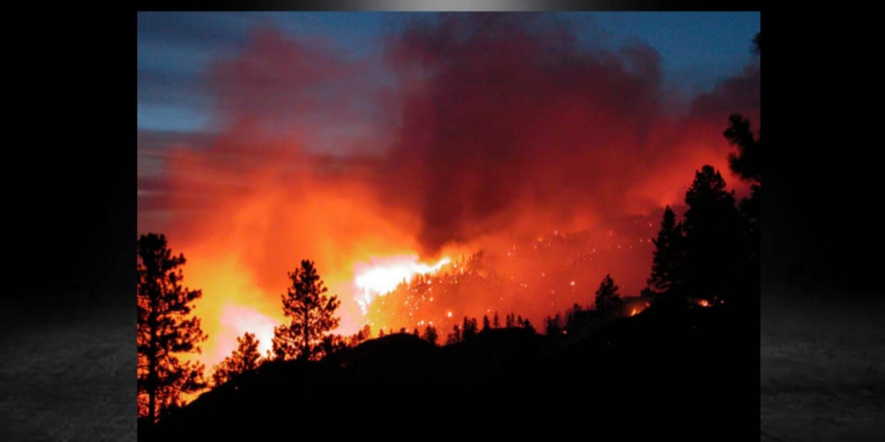 SE DA INICIO A INVESTIGACIÓN CONTRA PRESUNTOS RESPONSABLES DEL INCENDIO EN LA SIERRA DE ARTEAGA ENTRE COAHUILA Y NUEVO LEÓN.