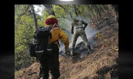 PROTECCIÓN CIVIL INFORMA DE UN ALENTADOR INICIO DE SEMANA CONTRA LOS INCENDIOS FORESTALES