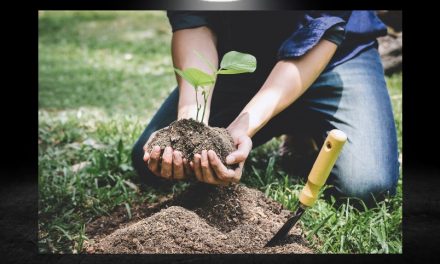 VA CON EL PARTIDO VERDE, Y LOS IDEALES NO CAMBIAN, EL CUATE REFORESTARÁ