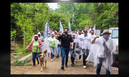 DAVID DE LA PEÑA LANZARÁ UNA MARCA LOCAL CON ALCANCE INTERNACIONAL