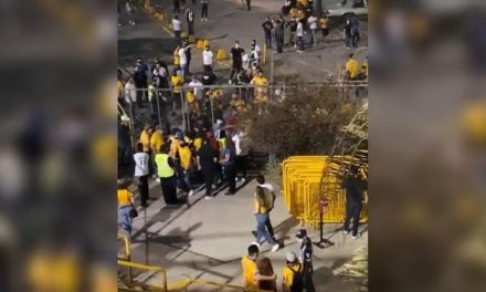 AFICIONADOS FELINOS DEJAN EN TERAPIA INTENSIVA A UN HINCHA RAYADO