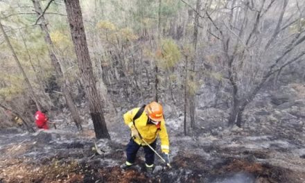 PROTECCIÓN CIVIL LOGRÁ CONTROLAR INCENDIOS EN LAS SIERRAS DE DR. ARROYO Y LOS RAYONES