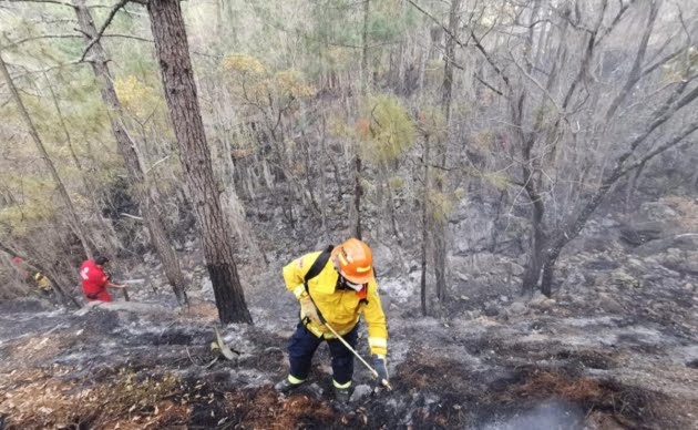 PROTECCIÓN CIVIL LOGRÁ CONTROLAR INCENDIOS EN LAS SIERRAS DE DR. ARROYO Y LOS RAYONES