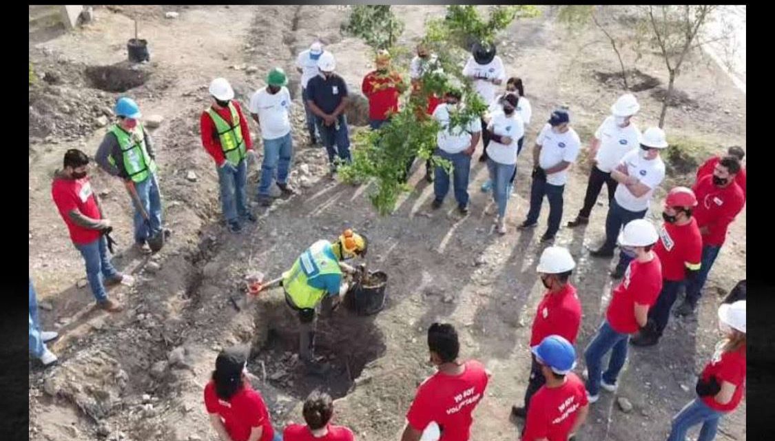 SIEMBRAN VIDA EN SANTA CATARINA, REFORESTAN CON MÁS DE 200 ÁRBOLES LA CIUDAD