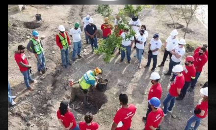 SIEMBRAN VIDA EN SANTA CATARINA, REFORESTAN CON MÁS DE 200 ÁRBOLES LA CIUDAD