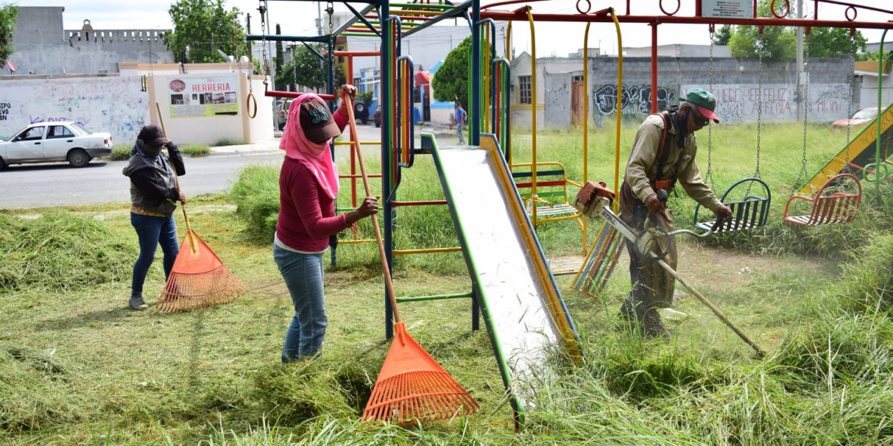 DAN EN JUÁREZ “MANITA DE GATO” A PARQUES Y PLAZAS PARA BENEFICIO DE LOS CIUDADANOS