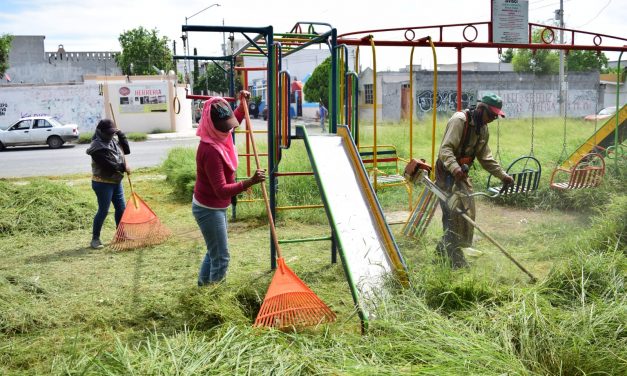 DAN EN JUÁREZ “MANITA DE GATO” A PARQUES Y PLAZAS PARA BENEFICIO DE LOS CIUDADANOS