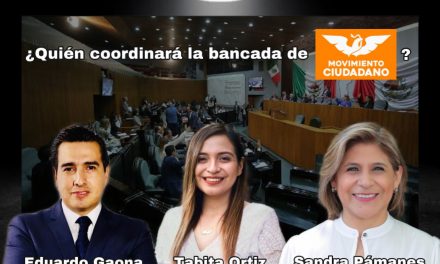 LA DISPUTA POR LA COORDINACIÓN DE DIPUTADOS LOCALES EN MOVIMIENTO CIUDADANO ESTÁ ENTRE COLOCAR A UN PERSONAJE INEXPERTO, A ALGUIEN QUE YA COORDINÓ ESA FRACCIÓN, O A UNA MUJER CON VASTA EXPERIENCIA EN LA POLÍTICA