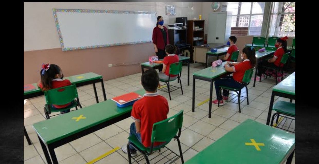 REVIRA EL GOBIERNO FEDERAL Y AHORA DICE QUE EL REGRESO A CLASES PRESENCIAL SERÁ ESCALONADO Y NO SERÁ OBLIGATORIO