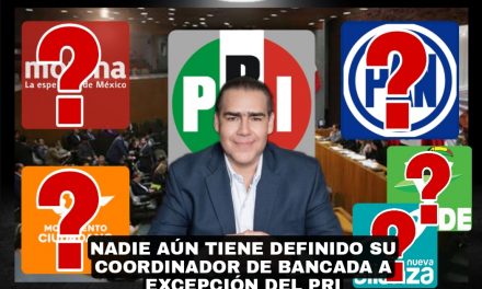 A MENOS DE 19 DÍAS PARA QUE ARRANQUE LA PRÓXIMA LEGISLATURA, NO HAY COORDINADORES EN LAS FRACCIONES, ÚNICAMENTE EL PRI YA SE DECIDIÓ<br>