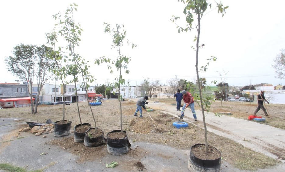 SUPERA CESAR GARZA VILLARREAL LA META DE PLANTAR 8 MIL ÁRBOLES EN EL APODACA