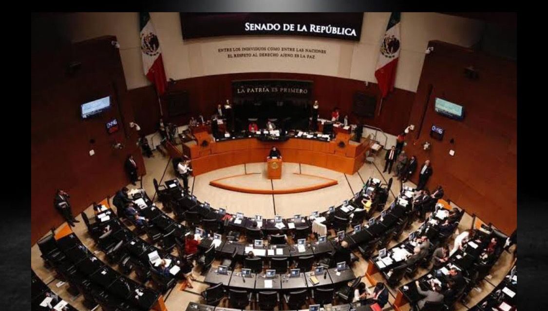 SENADO APRUEBA LA #LEYCACHITO