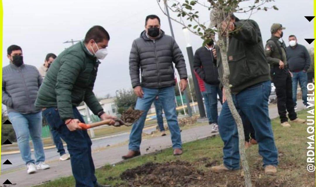 PACO TREVIÑO SIGUE COMPROMETIDO CON EL MEDIO AMBIENTE, AHORA PLANTA 350 ÁRBOLES<br>