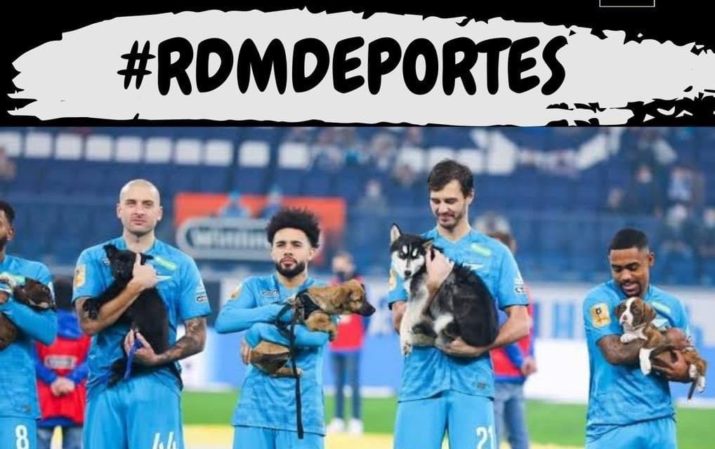 ¡SE PONEN PERROS EN LA CANCHA! EQUIPO RUSO BUSCA CONCIENTIZAR SOBRE LA ADOPCIÓN DE MASCOTAS