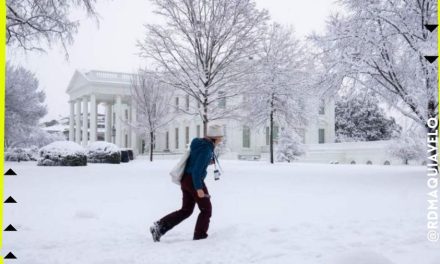 SE PINTA DE BLANCO WASHINGTON D.C., CANCELAN CIENTOS DE VUELOS Y CIERRAN TODO