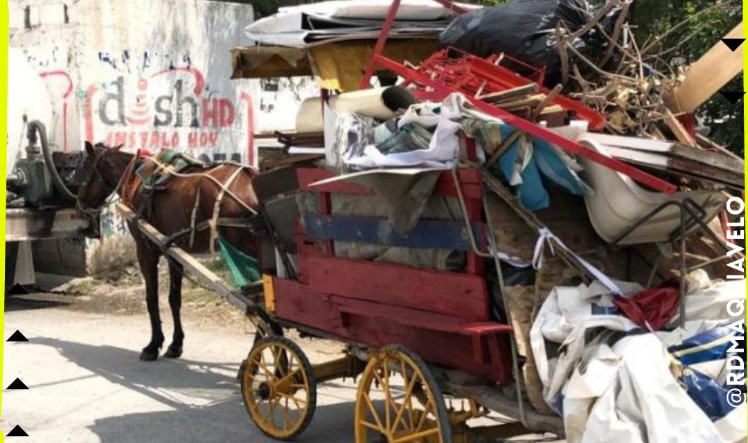 BUSCANDO EL BIENESTAR ANIMAL EN EL MUNICIPIO DE APODACA SE PROHIBIÓ QUE SE UTILICEN ANIMALES EN ACTIVIDADES COMO LA RECOLECCIÓN DE BASURA