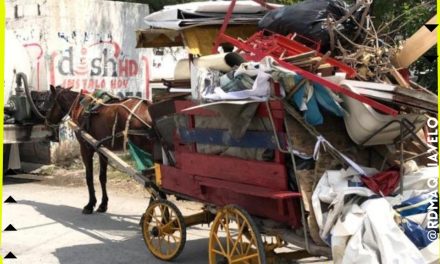 BUSCANDO EL BIENESTAR ANIMAL EN EL MUNICIPIO DE APODACA SE PROHIBIÓ QUE SE UTILICEN ANIMALES EN ACTIVIDADES COMO LA RECOLECCIÓN DE BASURA