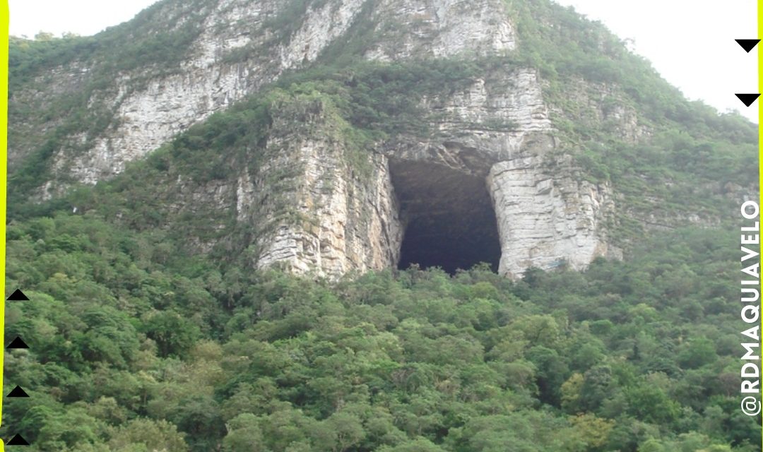 UNA BUENA PARA LOS NEOLEONESES, DECRETAN SANTUARIO A LA CUEVA DE LOS MURCIÉLAGOS DE SANTIAGO