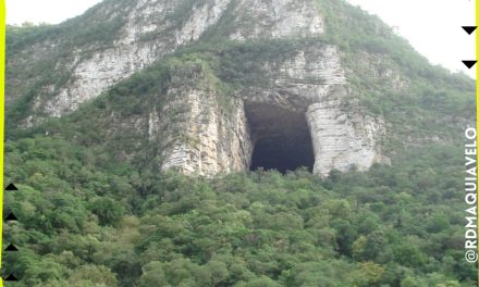 UNA BUENA PARA LOS NEOLEONESES, DECRETAN SANTUARIO A LA CUEVA DE LOS MURCIÉLAGOS DE SANTIAGO