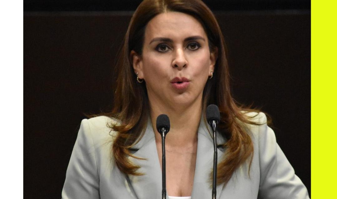 CAROLINA VIGGIANO AÚN DIPUTADA PRESENTA INICIATIVA PARA SOLICITAR MAYOR PRESUPUESTO A MECANISMOS CONTRA LA VIOLENCIA