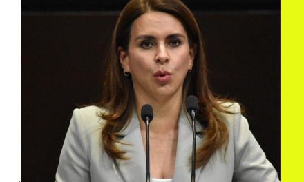 CAROLINA VIGGIANO AÚN DIPUTADA PRESENTA INICIATIVA PARA SOLICITAR MAYOR PRESUPUESTO A MECANISMOS CONTRA LA VIOLENCIA