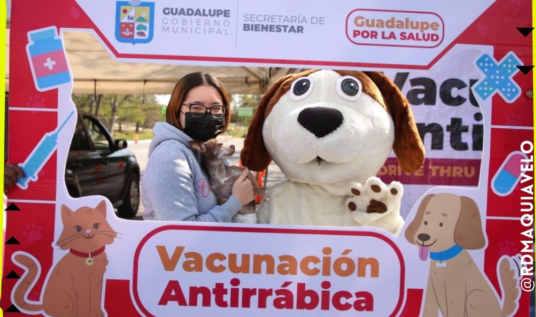 COMIENZA PROGRAMA DE VACUNACION ANTIRRABICO PARA LOS ANIMALES EN GUADALUPE