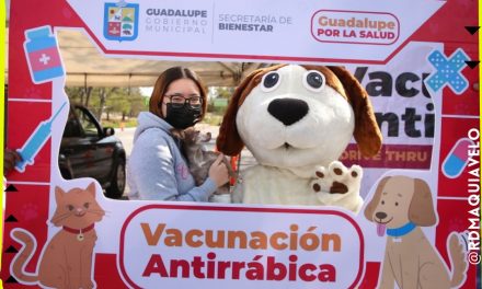 COMIENZA PROGRAMA DE VACUNACION ANTIRRABICO PARA LOS ANIMALES EN GUADALUPE