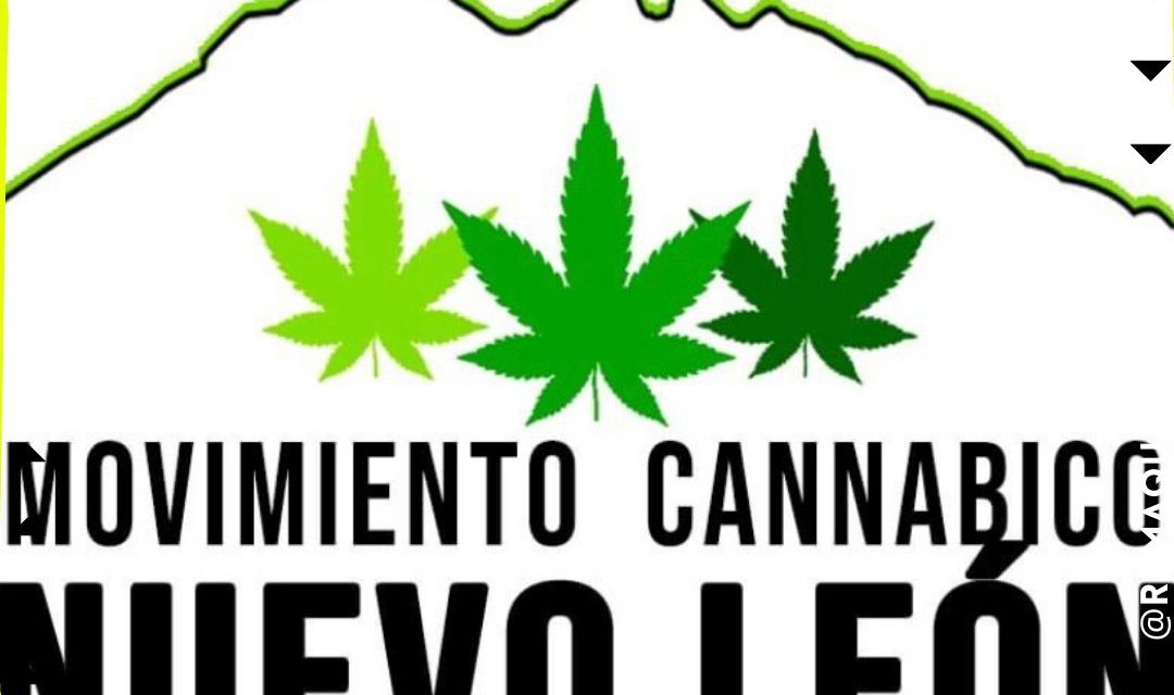 PIDE GRUPO A FAVOR DE LA MARIHUANA QUE CONSUMO SEA LEGAL EN EL ESTADO