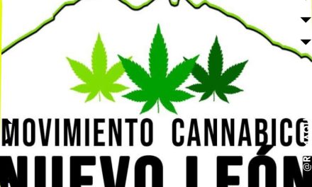 PIDE GRUPO A FAVOR DE LA MARIHUANA QUE CONSUMO SEA LEGAL EN EL ESTADO