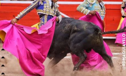 REGRESAN LAS CORRIDAS DE TOROS A MONTERREY