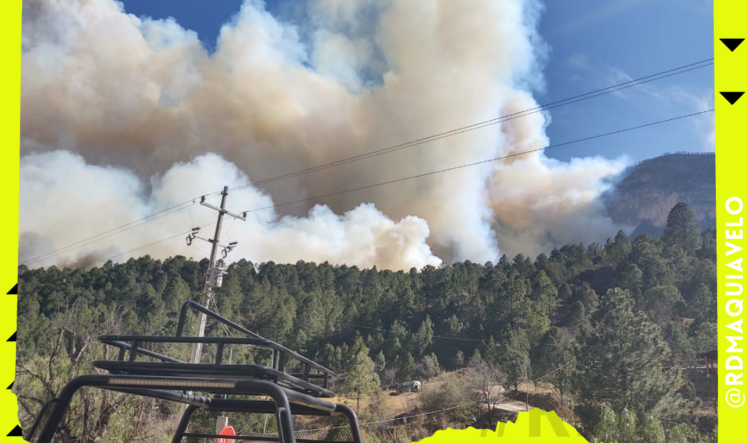 INCENDIO EN LA SIERRA DE GALENA ESTÁ CONTROLADO EN UN 60 POR CIENTO