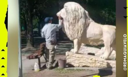 TRAS SEIS MESES DEL 8M LIMPIAN PINTAS EN LEONES DEL PALACIO