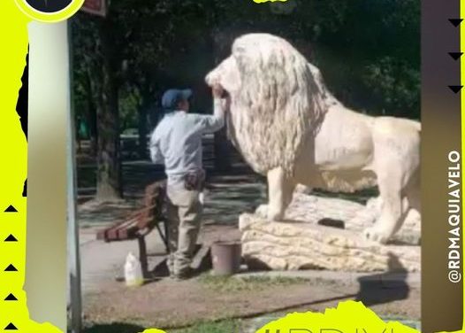 TRAS SEIS MESES DEL 8M LIMPIAN PINTAS EN LEONES DEL PALACIO