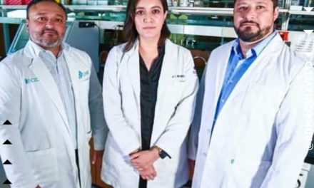 INVESTIGADORES DE LA UANL LOGRAN CREAR UN BIOIMPLANTE PARA LESIONES DE RODILLA