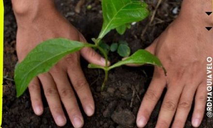 DETALLA EDUARDO GAONA QUE MOVIMIENTO CIUDADANO BUSCA FOMENTAR EDUCACIÓN AMBIENTAL