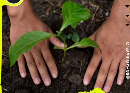 DETALLA EDUARDO GAONA QUE MOVIMIENTO CIUDADANO BUSCA FOMENTAR EDUCACIÓN AMBIENTAL