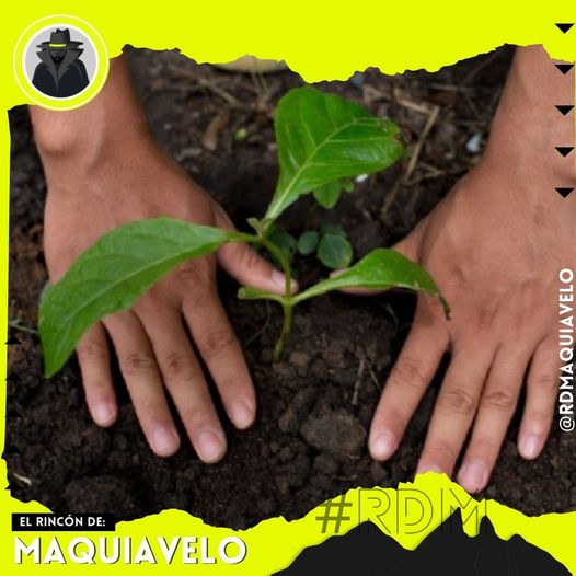 DETALLA EDUARDO GAONA QUE MOVIMIENTO CIUDADANO BUSCA FOMENTAR EDUCACIÓN AMBIENTAL