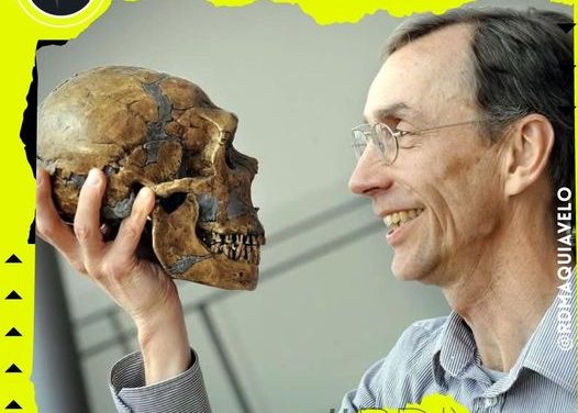 GANA SVANTE PÄÄBO PREMIO NOBEL DE MEDICINA POR SUS DESCUBRIMIENTOS SOBRE LA EVOLUCIÓN HUMANA