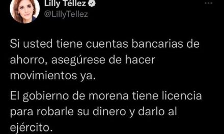 SENADORA Lilly Téllez “CONFUNDE” A @PartidoMorenaMx Y Gobierno de México  CON Cámara de Diputados – H. Congreso de la Unión