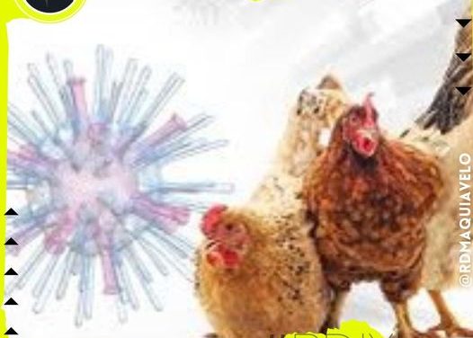 DETECTAN EN MÉXICO EL PRIMER CASO DE INFLUENZA AVIAR AH5N1