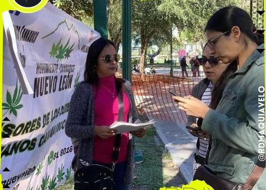 BUSCA MOVIMIENTO CANNABICO OBTENER PERMISO SANITARIO