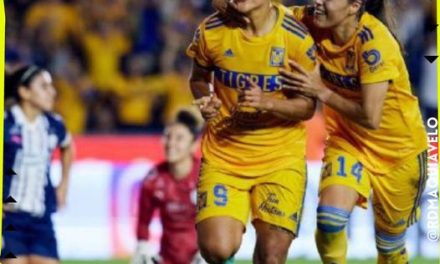 LAS TIGRES MANTIENEN LIGERA VENTAJA A RAYADAS EN MARCADOR, ESTE LUNES SE JUGARÁN  EL PASE A LA FINAL