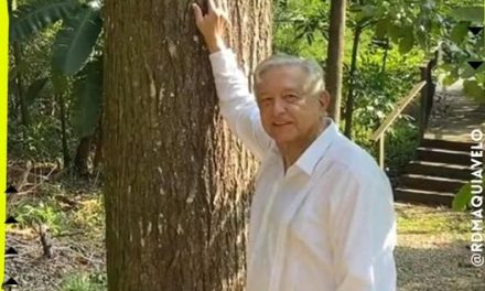 FESTEJA AMLO SU CUMPLEAÑOS 69 Y PRESUME CEDRO FUERTE