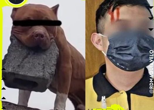 PITBULL DESCALABRA A COBRADOR DE COPPEL