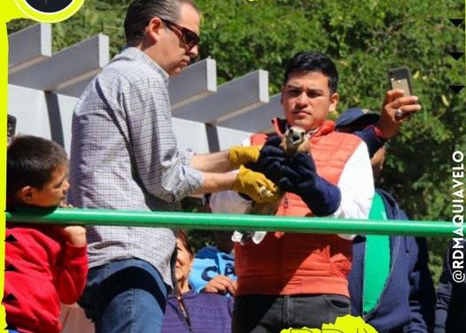 LIBERAN EN NUEVO LEÓN EJEMPLARES DE AGUILILLAS Y GAVILÁN DESPUÉS DE REHABILITARLOS
