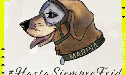 ¡HASTA PRONTO FRIDA! MUERE LA PERRITA RESCATISTA DE LA MARINA