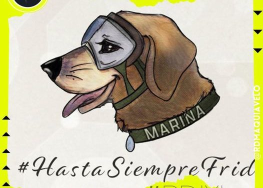 ¡HASTA PRONTO FRIDA! MUERE LA PERRITA RESCATISTA DE LA MARINA